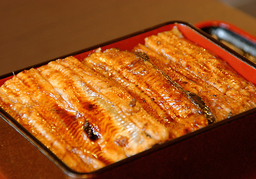 川魚料理始めました。