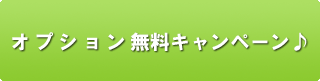 オプション無料キャンペーン